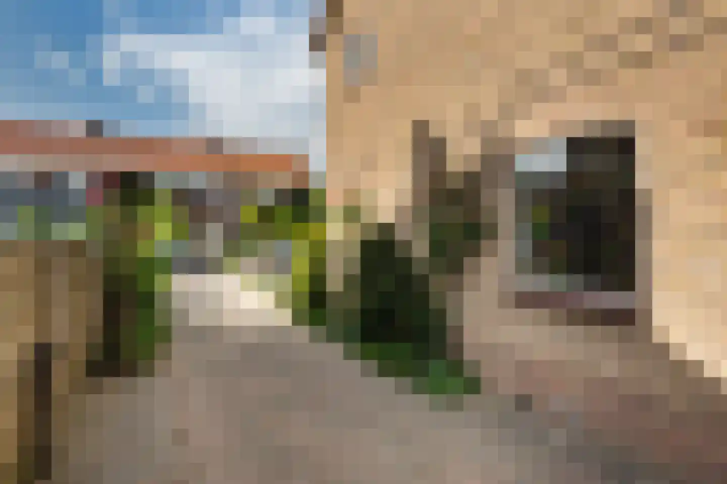Gruitkamp 6 Ermelo thumbnail 40