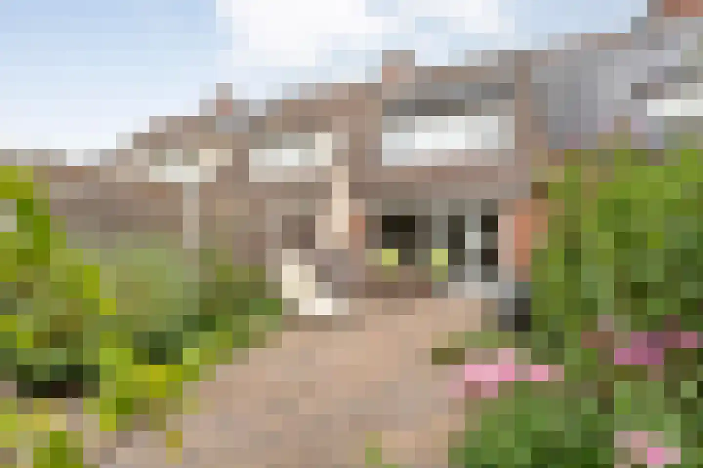 Gruitmeesterslaan 104 in Zwolle