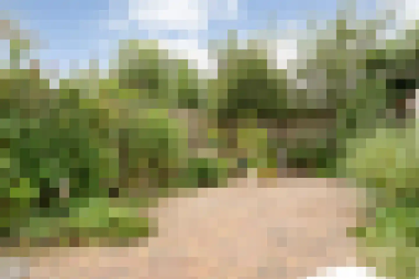 Gruitmeesterslaan 104 Zwolle thumbnail 31