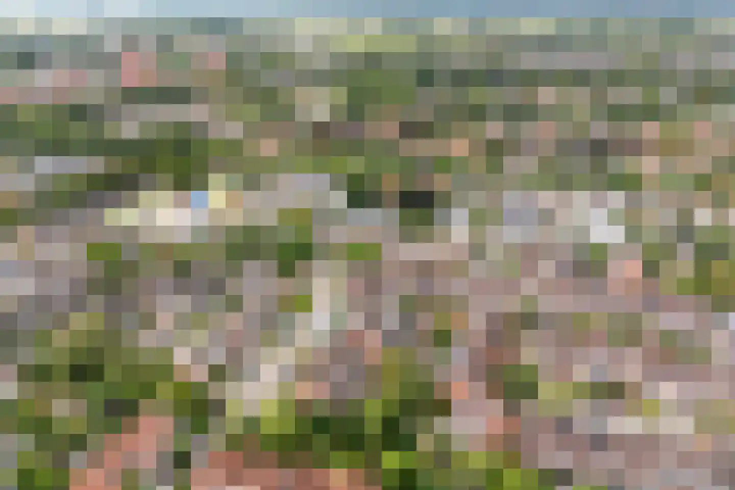 Gruitmeesterslaan 104 Zwolle thumbnail 34