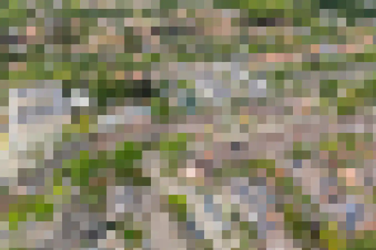 Gruitmeesterslaan 104 Zwolle thumbnail 5