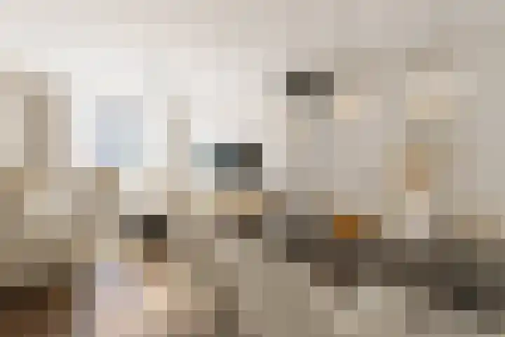 Gruitmeesterslaan 109 Zwolle thumbnail 9