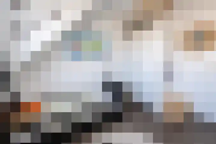 Gruitmeesterslaan 141 Zwolle thumbnail 15