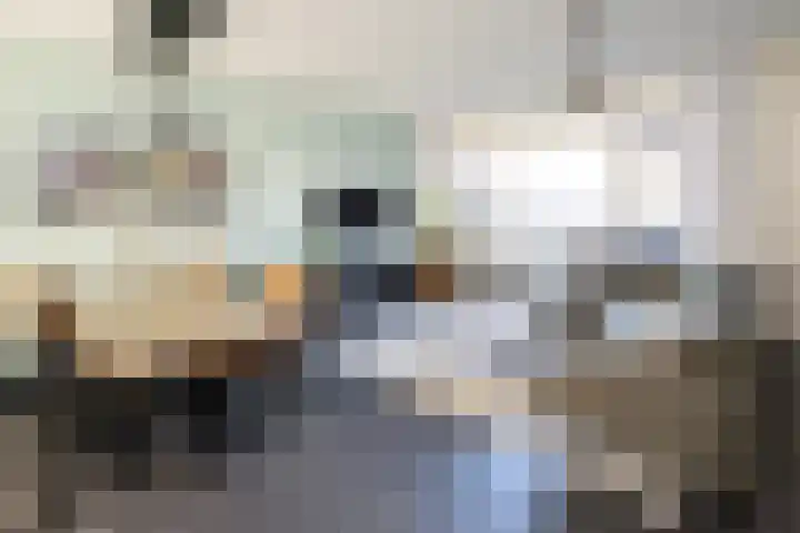 Gruitmeesterslaan 141 Zwolle thumbnail 5