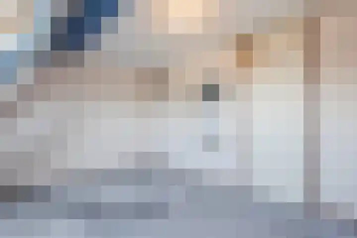 Gruitmeesterslaan 142 Zwolle thumbnail 17