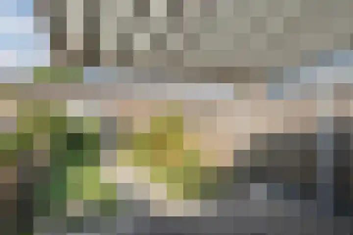 Gruitmeesterslaan 142 Zwolle thumbnail 30