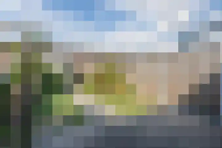 Gruitmeesterslaan 142 Zwolle thumbnail 32