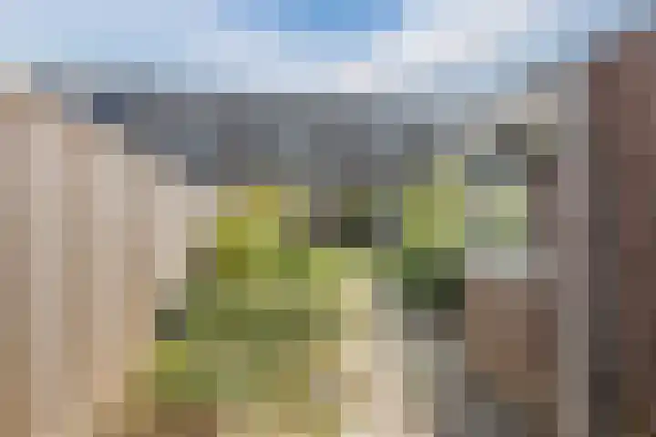 Gruitmeesterslaan 142 Zwolle thumbnail 35