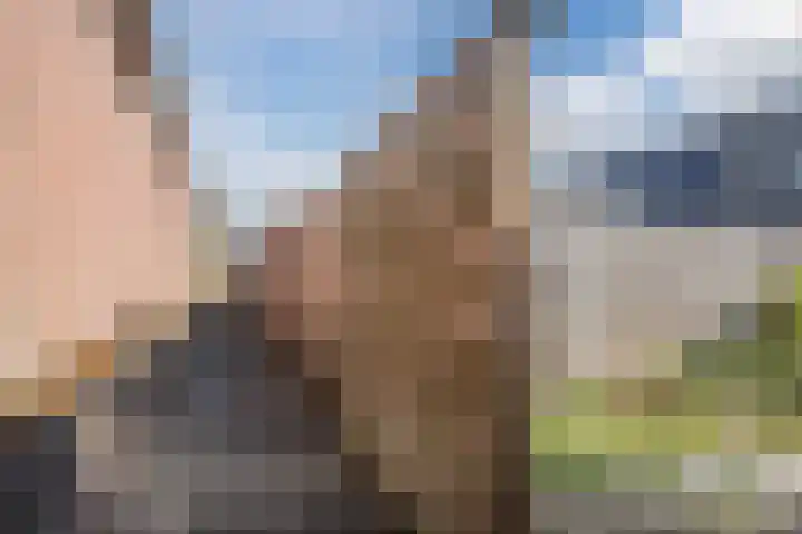 Gruitmeesterslaan 142 Zwolle thumbnail 37