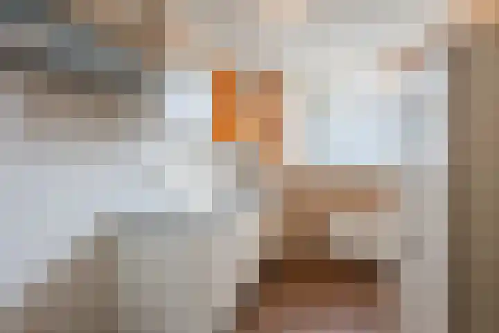 Gruitmeesterslaan 142 Zwolle thumbnail 8