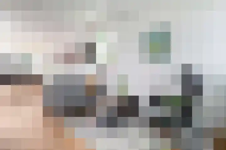 Gruitmeesterslaan 156 Zwolle thumbnail 14