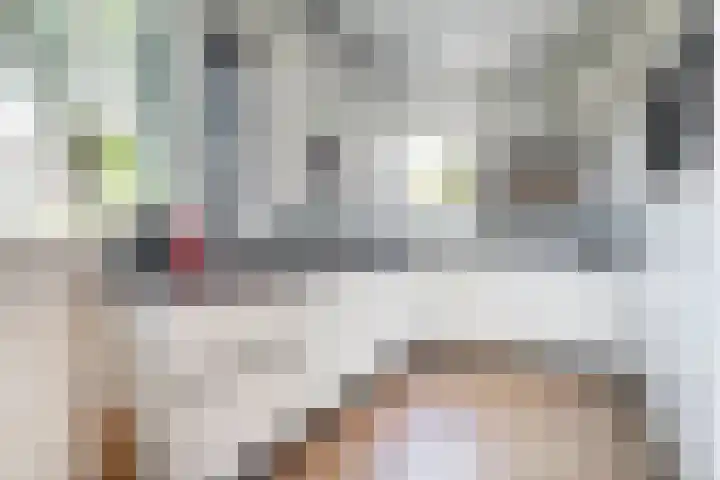 Gruitmeesterslaan 156 Zwolle thumbnail 17