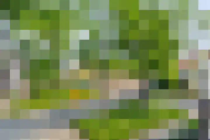 Gruitmeesterslaan 156 Zwolle thumbnail 26