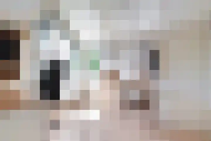 Gruitmeesterslaan 156 Zwolle thumbnail 32