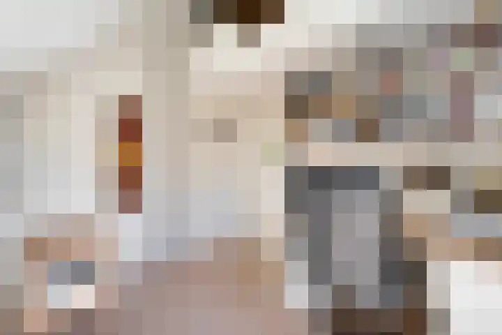 Gruitmeesterslaan 156 Zwolle thumbnail 33