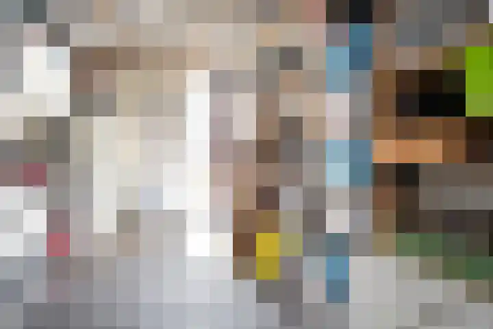 Gruitmeesterslaan 156 Zwolle thumbnail 35