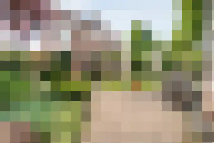 Gruitmeesterslaan 156 Zwolle thumbnail 36