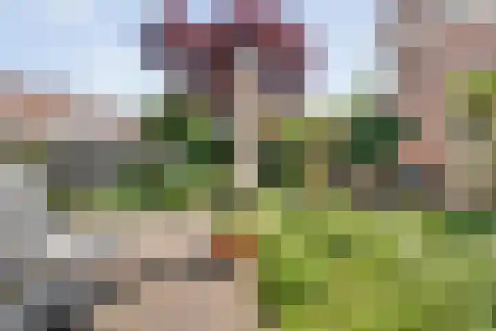 Gruitmeesterslaan 156 Zwolle thumbnail 37