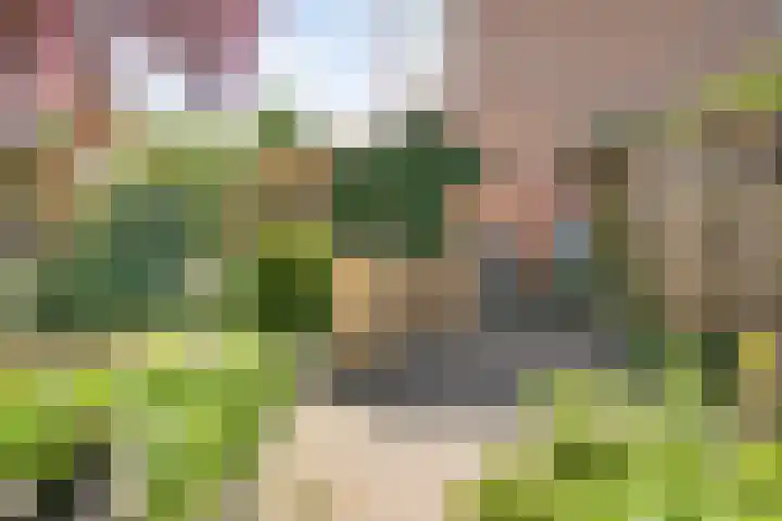 Gruitmeesterslaan 156 Zwolle thumbnail 38