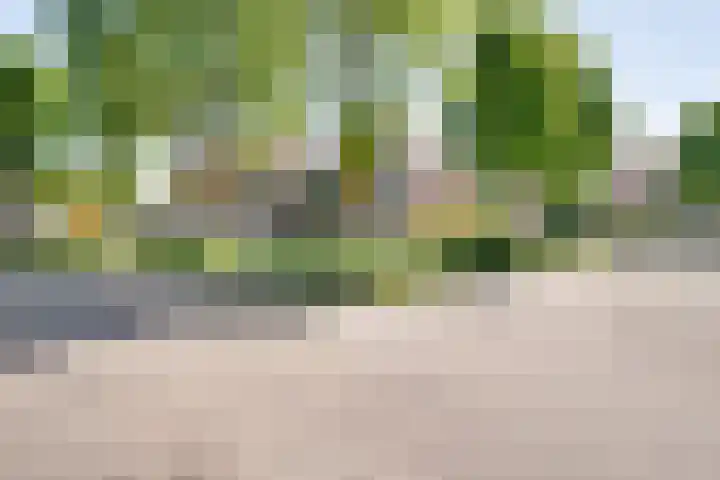 Gruitmeesterslaan 156 Zwolle thumbnail 4