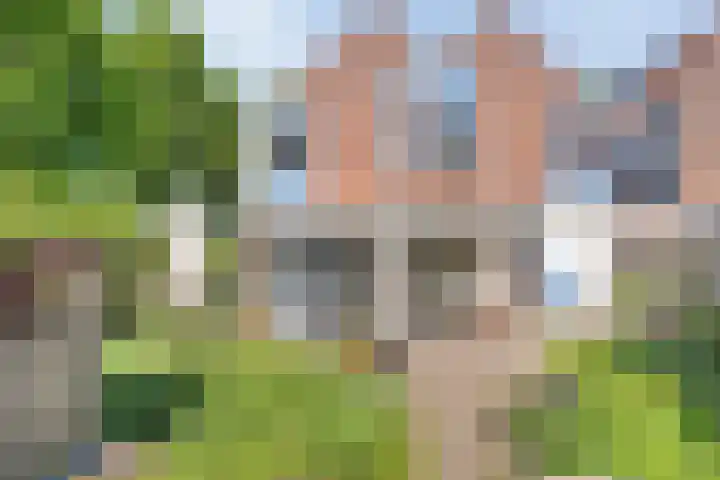 Gruitmeesterslaan 156 Zwolle thumbnail 40