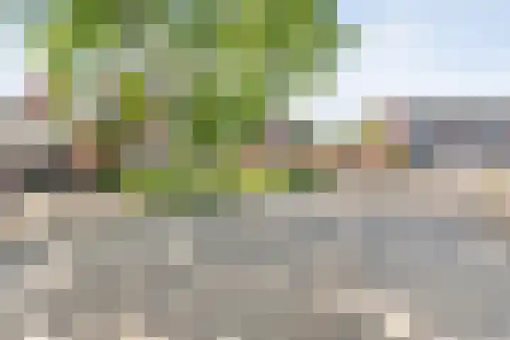 Gruitmeesterslaan 156 Zwolle thumbnail 5