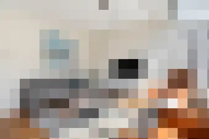 Gruitmeesterslaan 156 Zwolle thumbnail 9