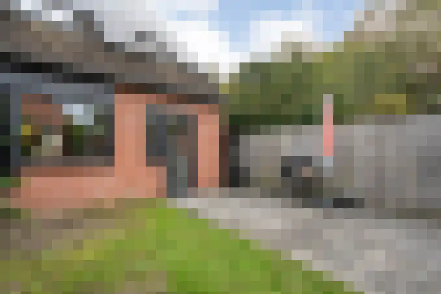 Gruitmeesterslaan 194 Zwolle thumbnail 43