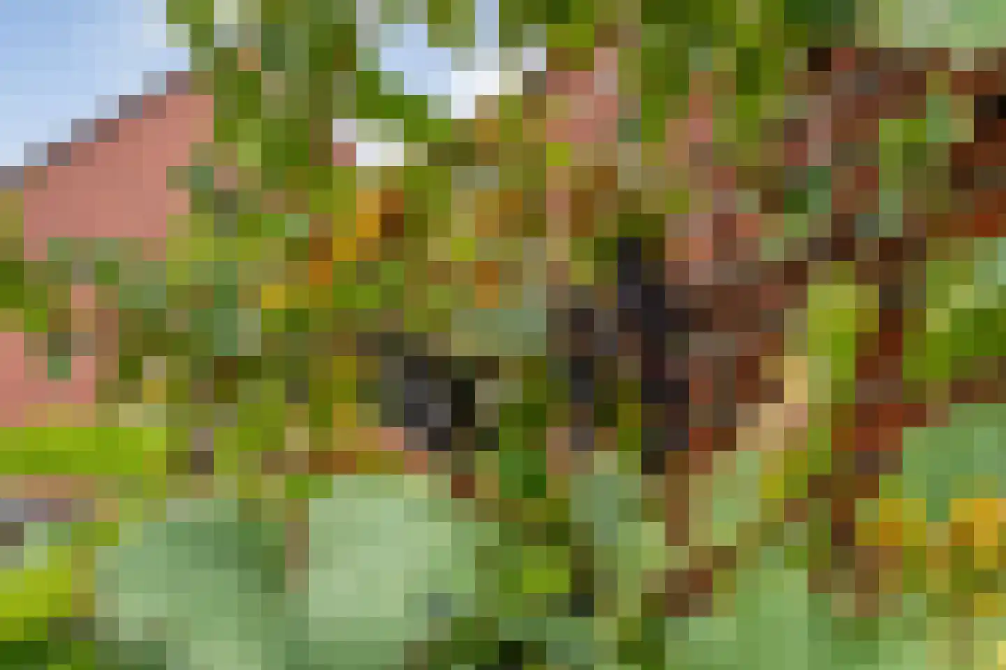 Gruitmeesterslaan 194 Zwolle thumbnail 45
