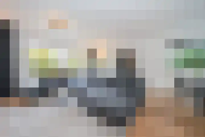 Gruitmeesterslaan 6 Zwolle thumbnail 13