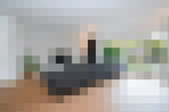 Gruitmeesterslaan 6 Zwolle thumbnail 14