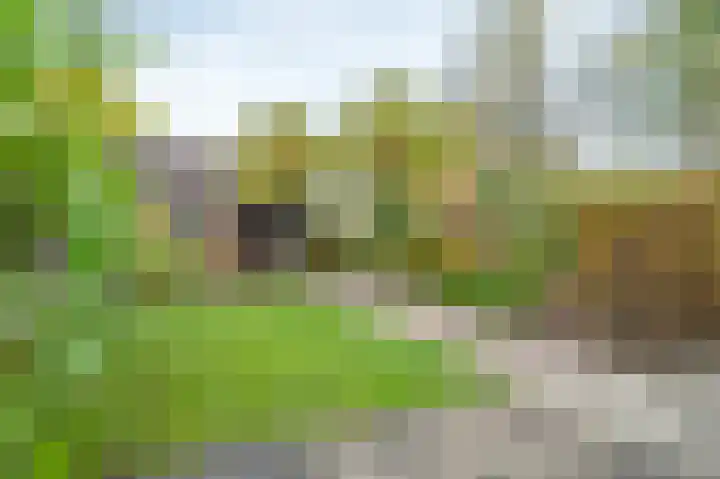 Gruitmeesterslaan 6 Zwolle thumbnail 18