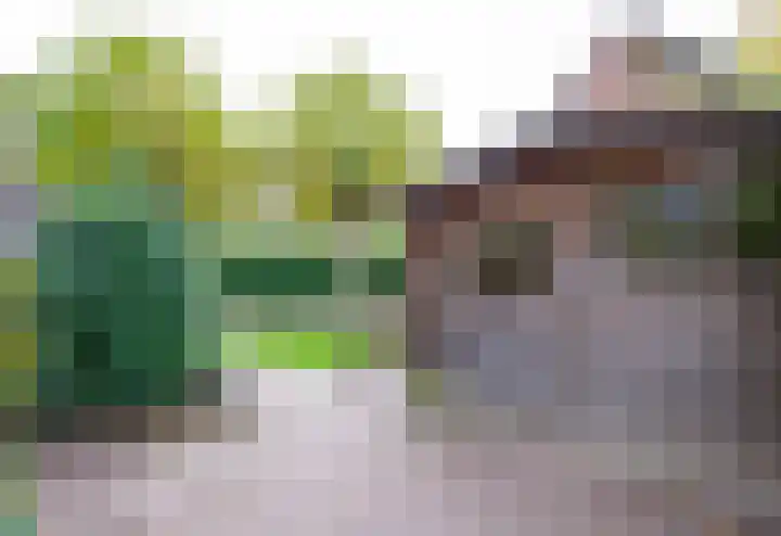 Gruitmeesterslaan 6 Zwolle thumbnail 19