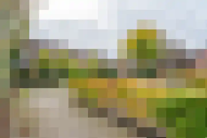 Gruitmeesterslaan 6 Zwolle thumbnail 20