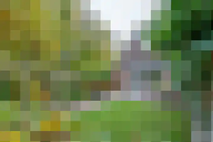 Gruitmeesterslaan 6 Zwolle thumbnail 22