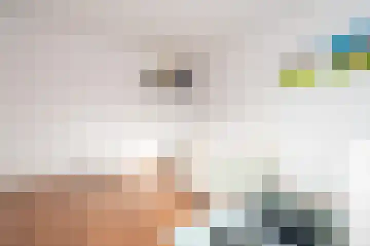 Gruitmeesterslaan 6 Zwolle thumbnail 31