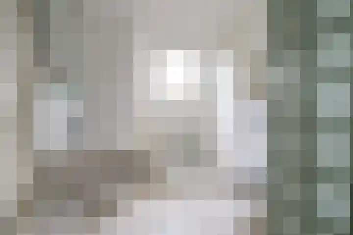 Gruitmeesterslaan 6 Zwolle thumbnail 33
