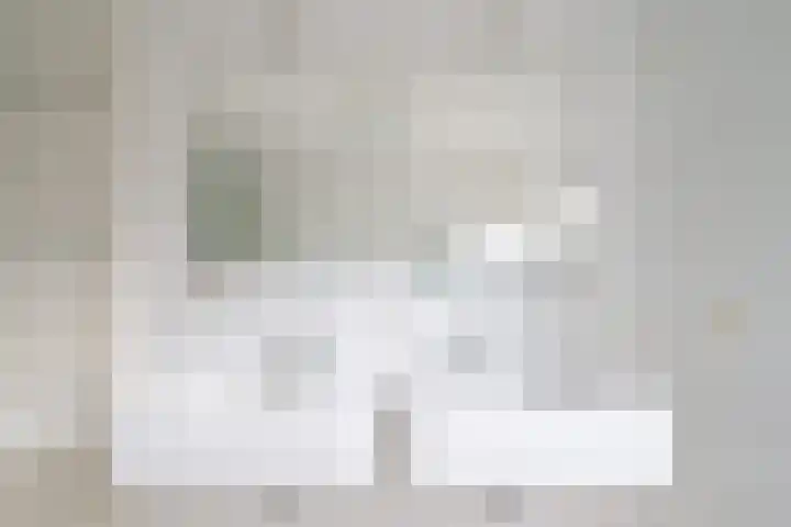 Gruitmeesterslaan 6 Zwolle thumbnail 34