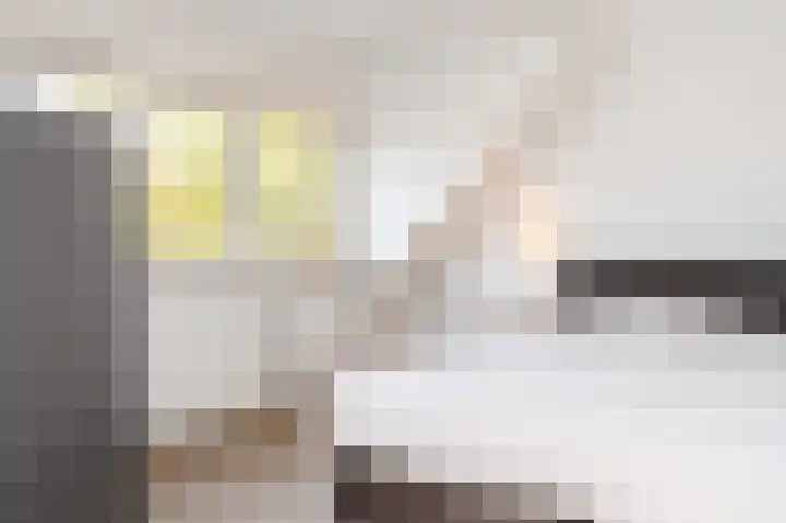 Gruitmeesterslaan 6 Zwolle thumbnail 39