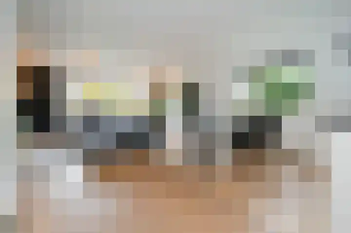 Gruitmeesterslaan 6 Zwolle thumbnail 4