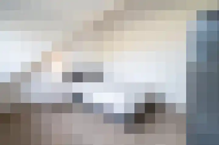 Gruitmeesterslaan 6 Zwolle thumbnail 40