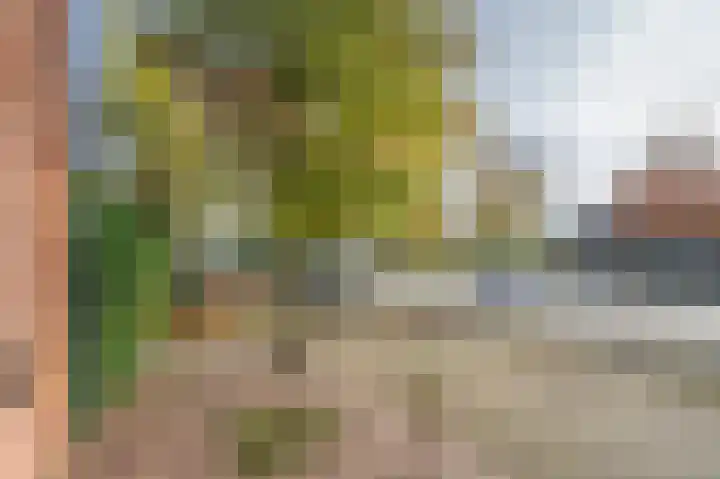 Gruitmeesterslaan 6 Zwolle thumbnail 46