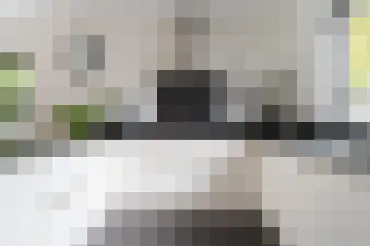 Gruitmeesterslaan 6 Zwolle thumbnail 7