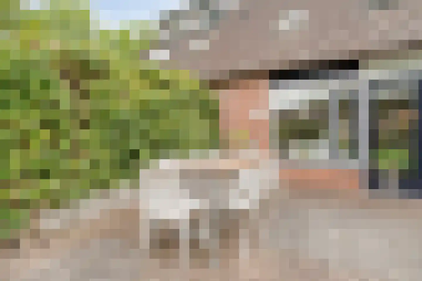 Gruitmeesterslaan 8 Zwolle thumbnail 32