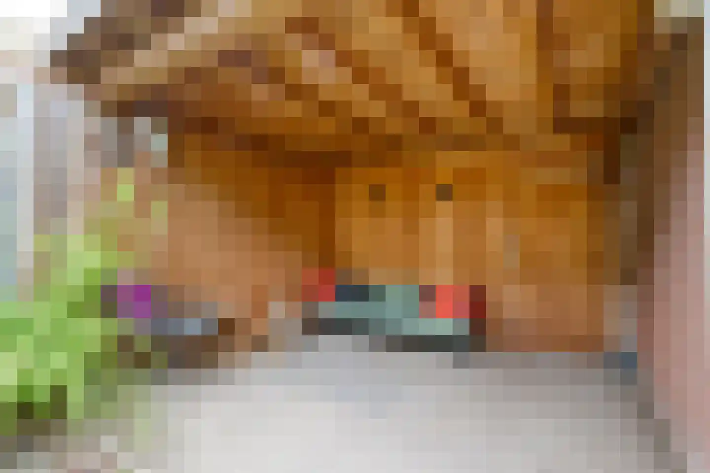 Gruitmeesterslaan 8 Zwolle thumbnail 35