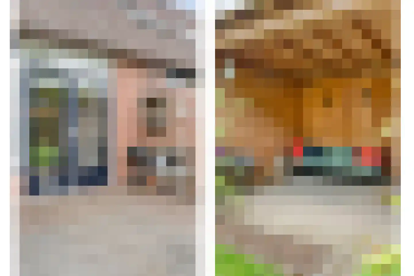 Gruitmeesterslaan 8 Zwolle thumbnail 36