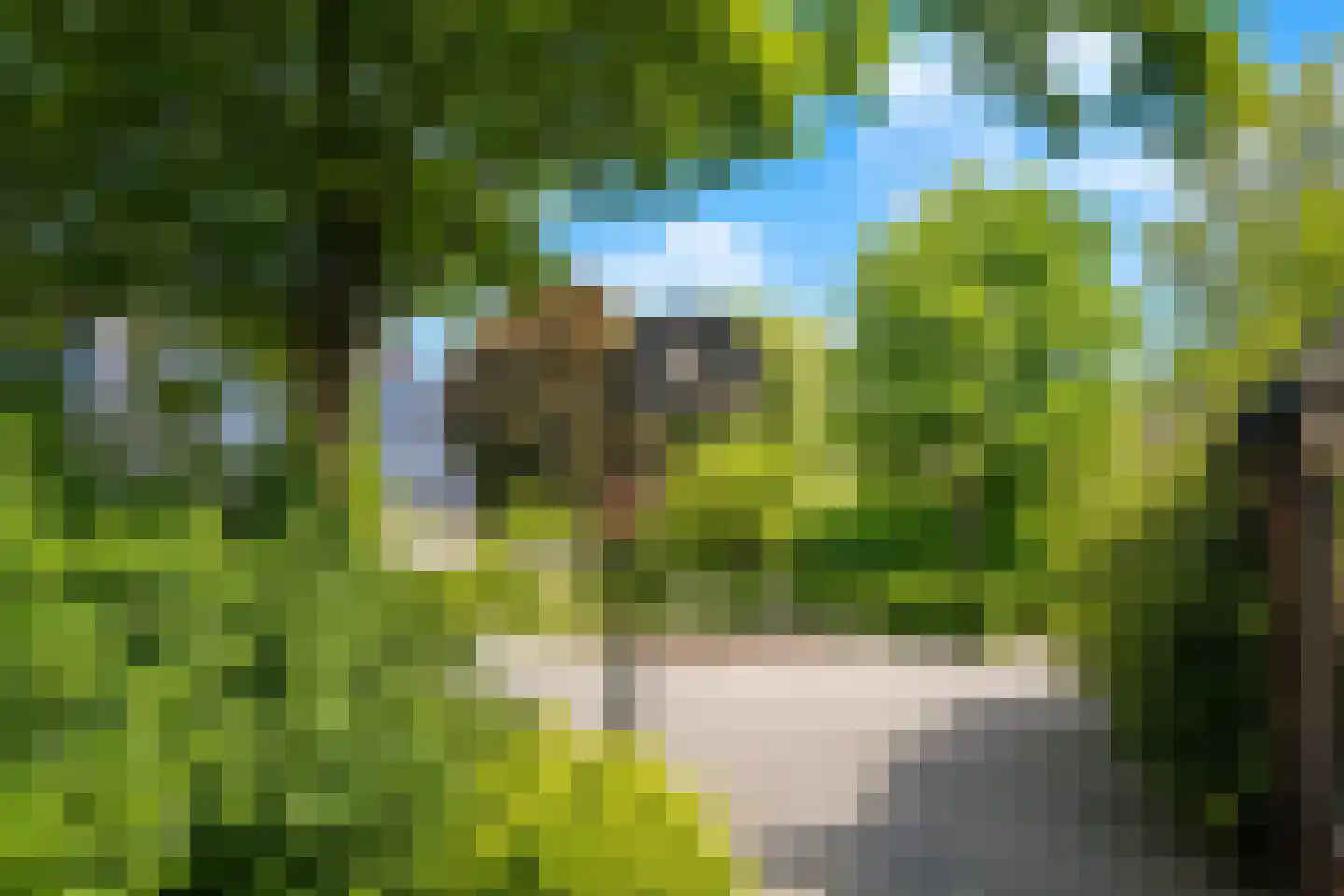 Gruitmeesterslaan 8 Zwolle thumbnail 44