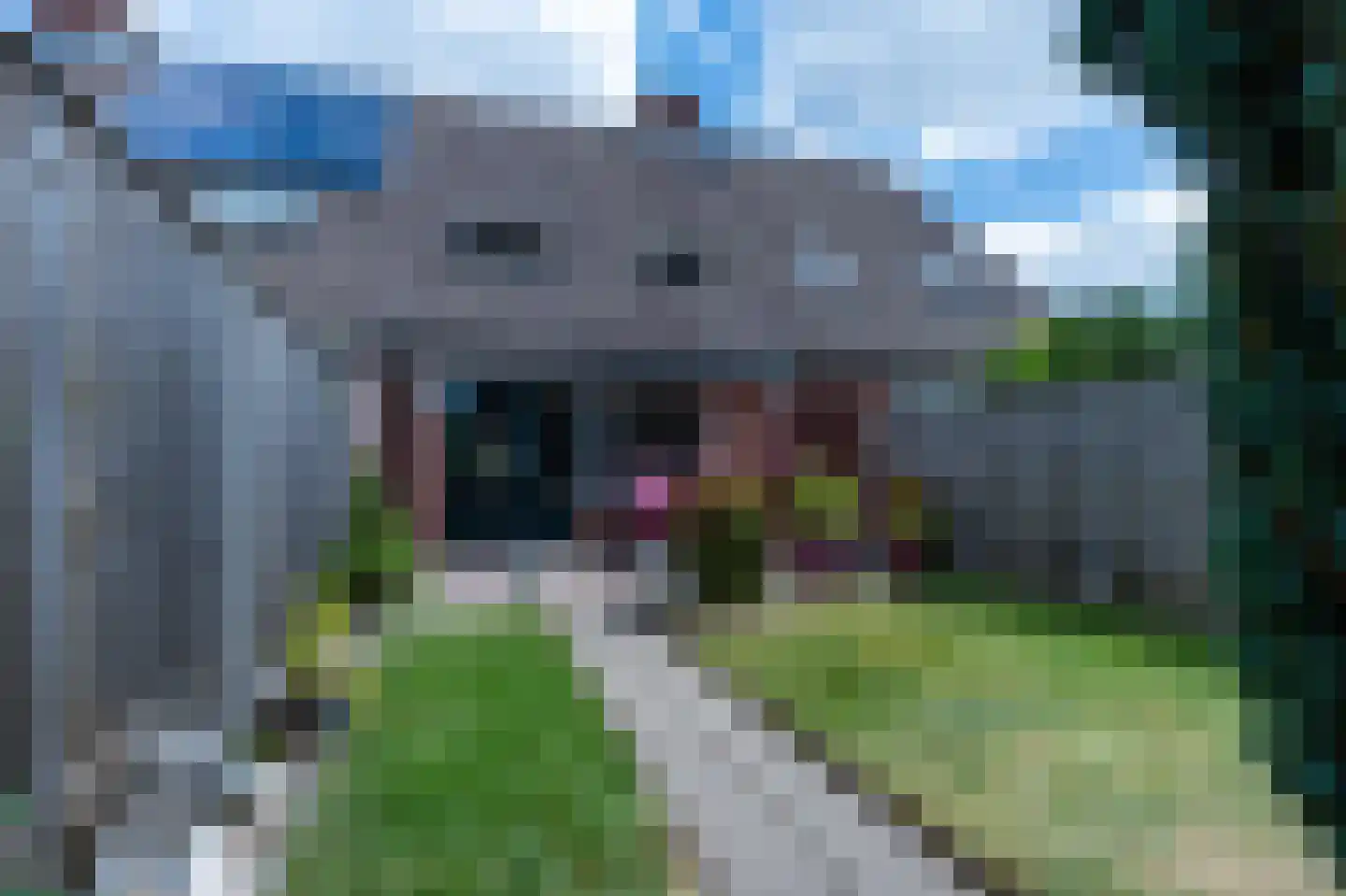 Gruitmeesterslaan 94 Zwolle thumbnail 40