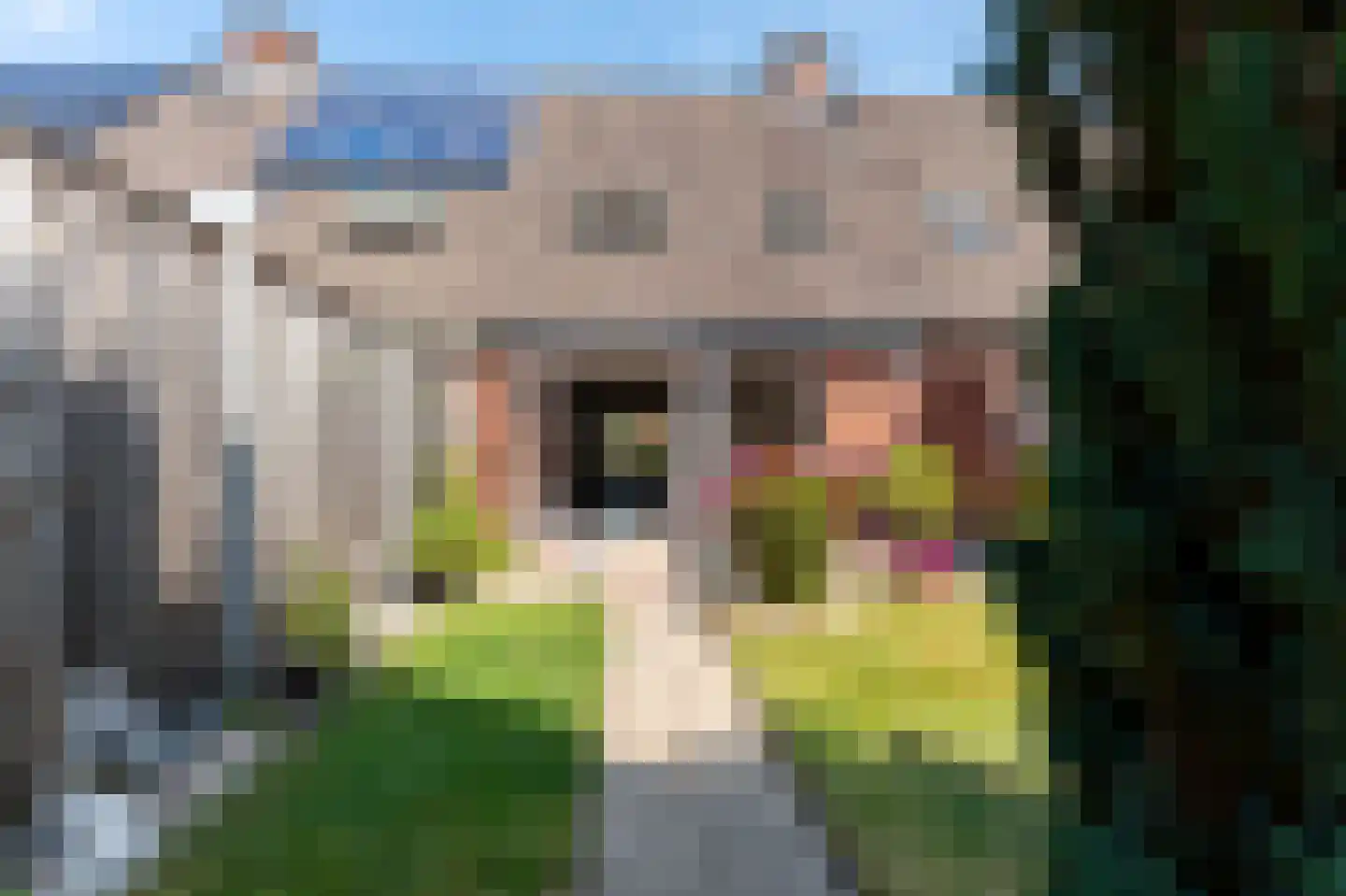 Gruitmeesterslaan 94 Zwolle thumbnail 41