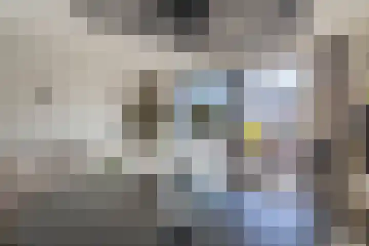 Grundel 12 Rijsenhout thumbnail 14